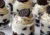 Cookies and Cream Mousse Cups