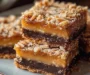 Samoas Caramel Coconut Bars: An Incredible Ultimate Recipe